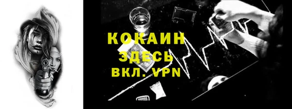 индика Гатчина