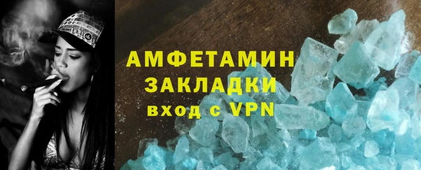индика Гатчина