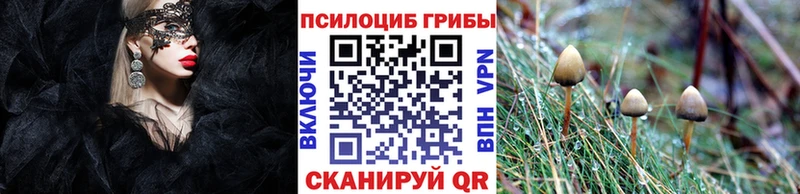 Галлюциногенные грибы мицелий  Южа 