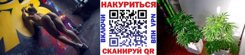 Бошки марихуана конопля  Южа 